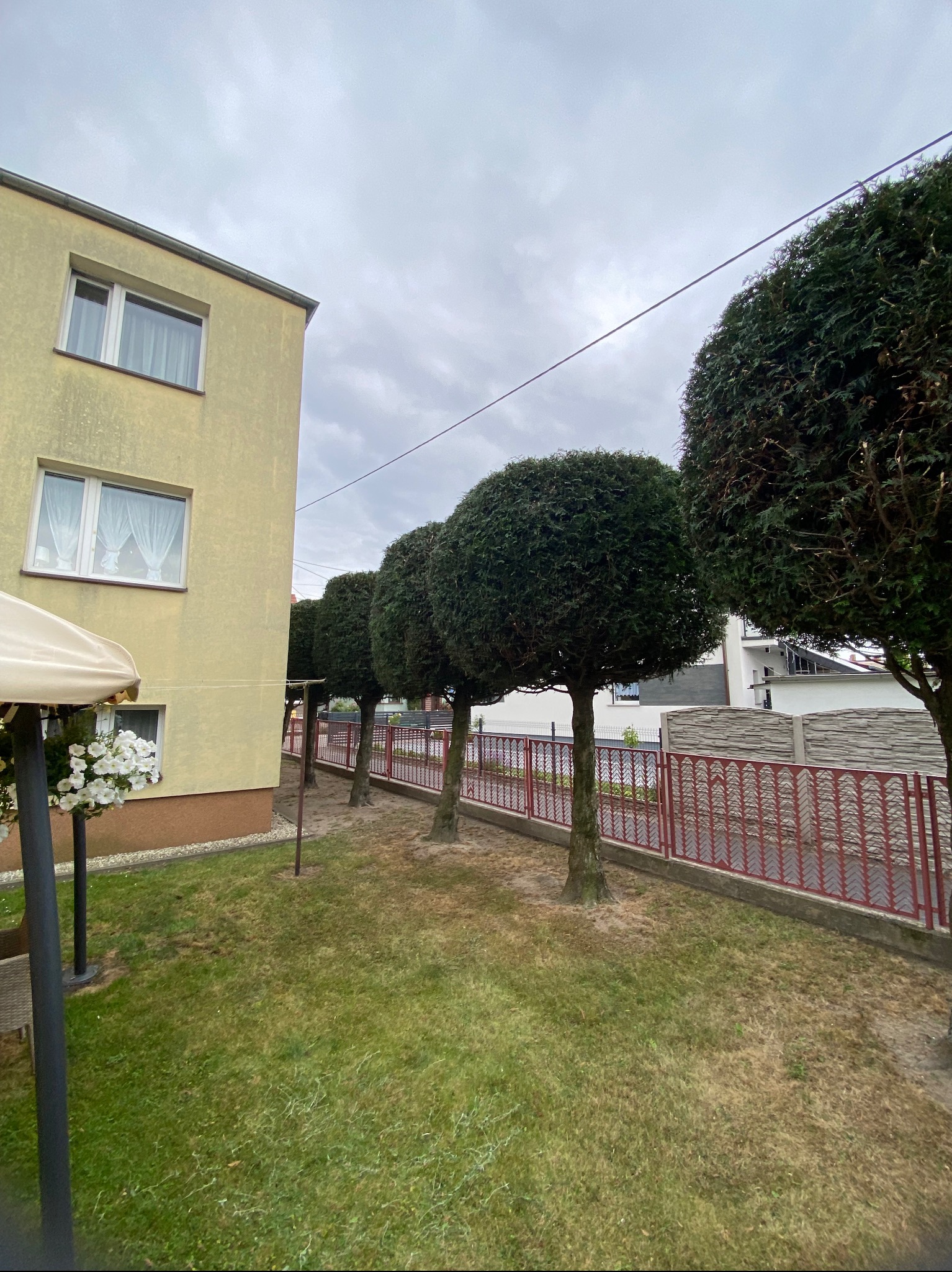 Rząd kulistych drzew wzdłuż czerwonego ogrodzenia, obok żółtego budynku z białymi oknami. Trawa z widocznymi śladami po koszeniu. Pochmurne niebo w tle.