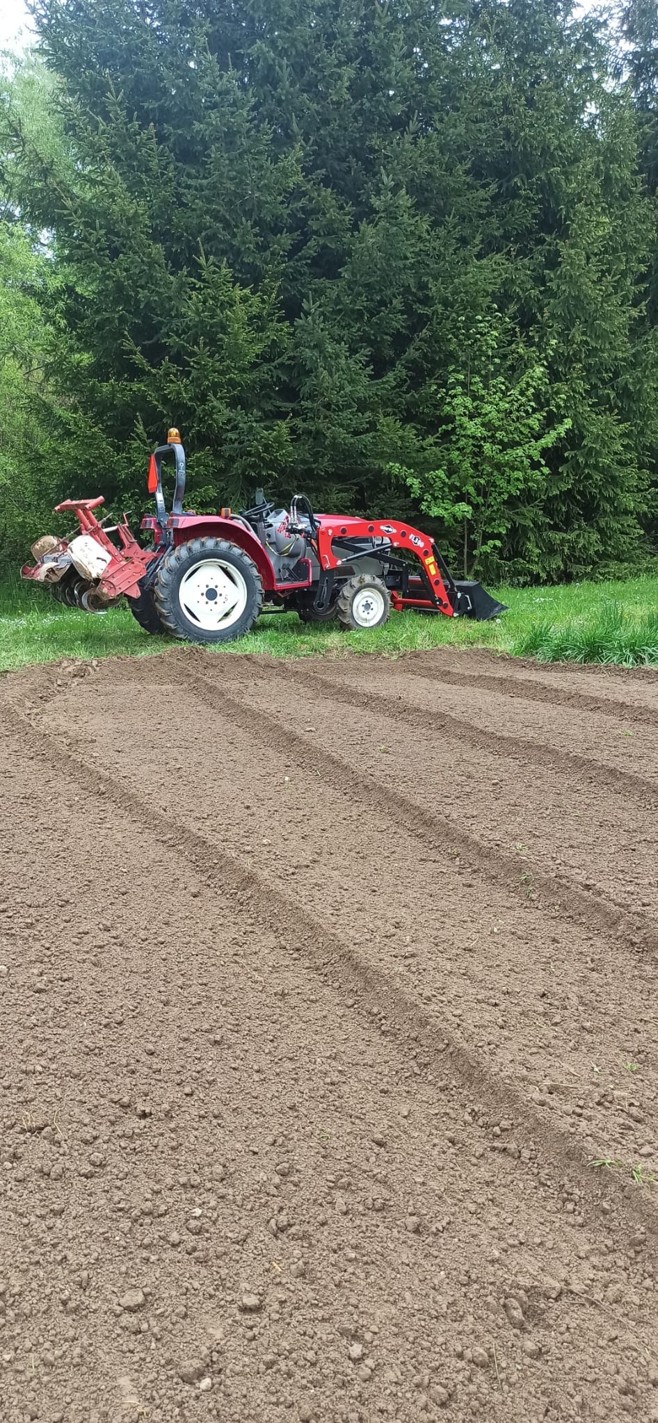 Czerwony traktor z glebogryzarką na polu, świeżo przygotowanym do siewu. W tle wysokie, zielone drzewa iglaste.