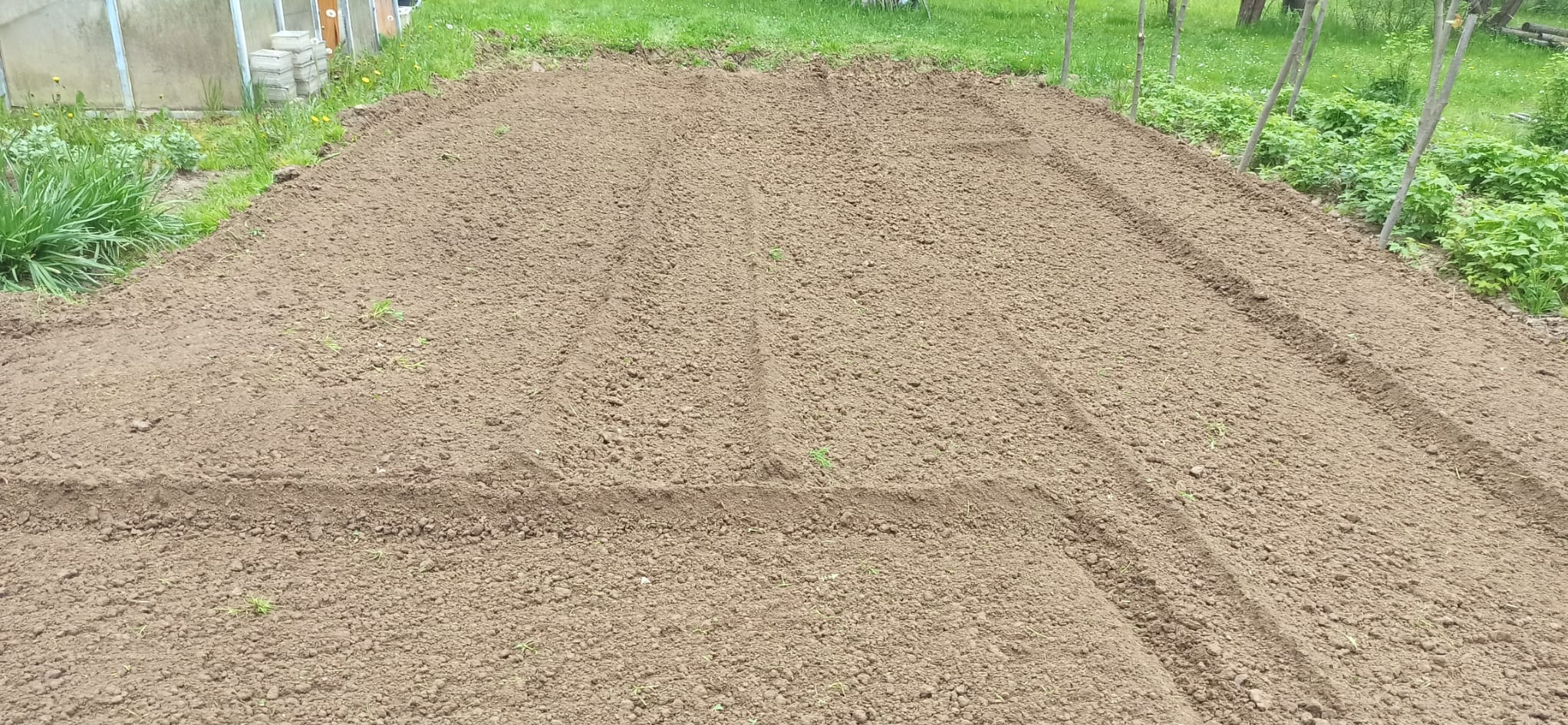 Przygotowana pod uprawę ziemia z widocznymi śladami narzędzi ogrodniczych i fragmentem szklarni w tle. Grządki wyrównane, gotowe do siewu.
