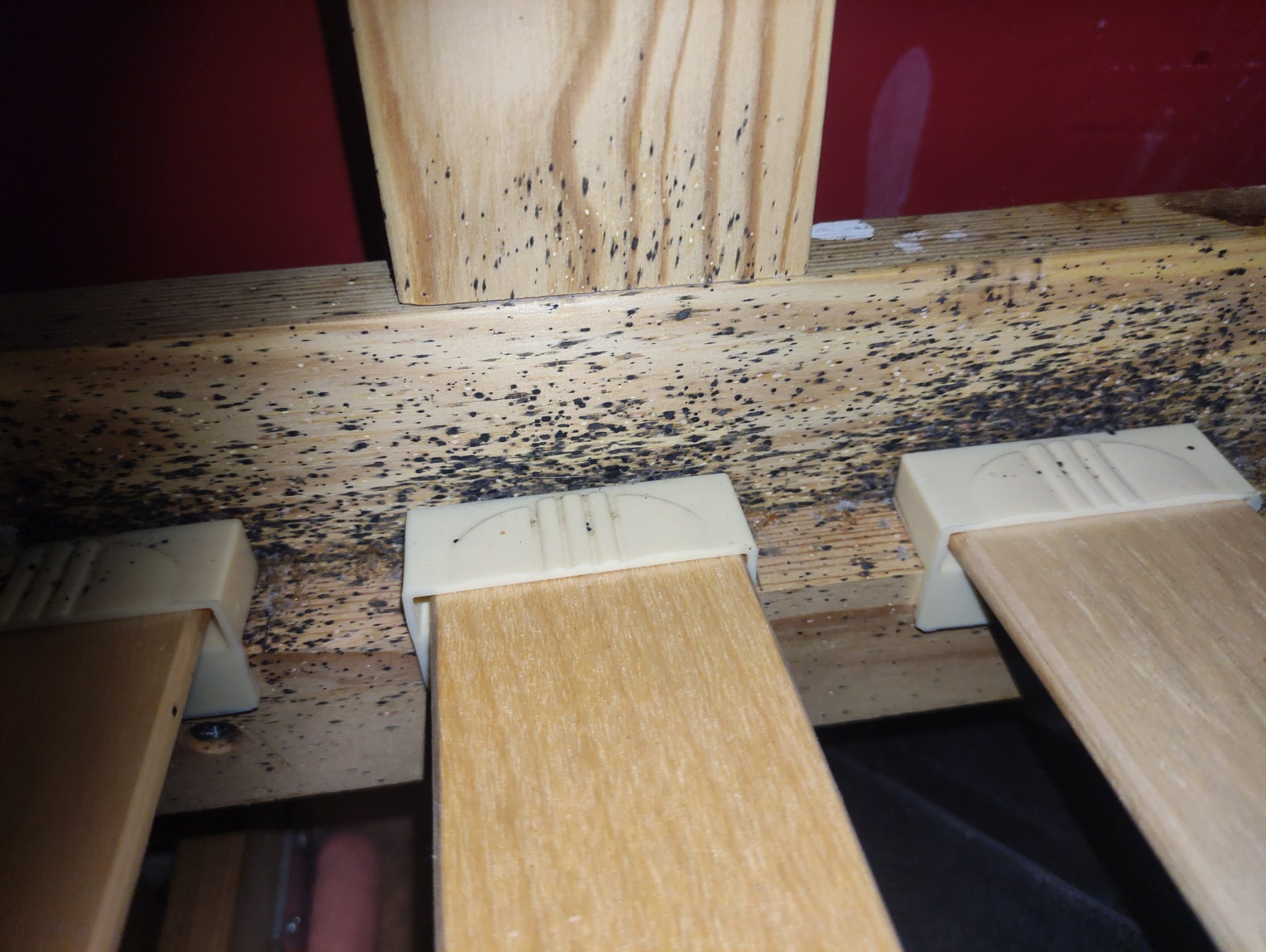 Zainfekowana pleśnią drewniana konstrukcja łóżka z widocznymi śladami czarnych plam. Bliskie ujęcie, ostre światło, ukazujące stopień zanieczyszczenia.