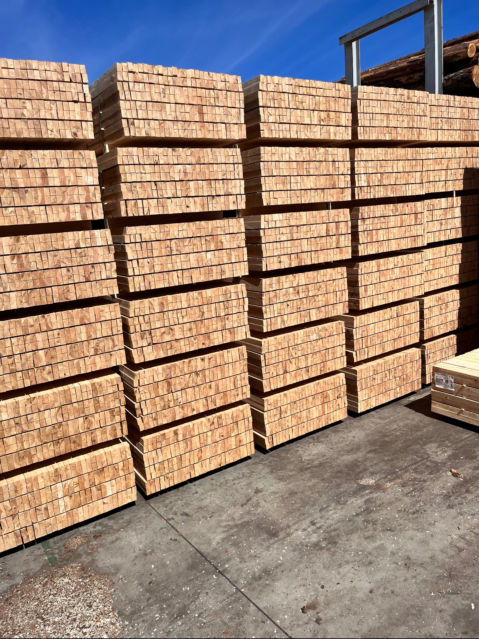 Stosy świeżo przetartej tarcicy budowlanej ułożone równo na placu składowym, widoczne ślady obróbki drewna i błękitne niebo w tle.