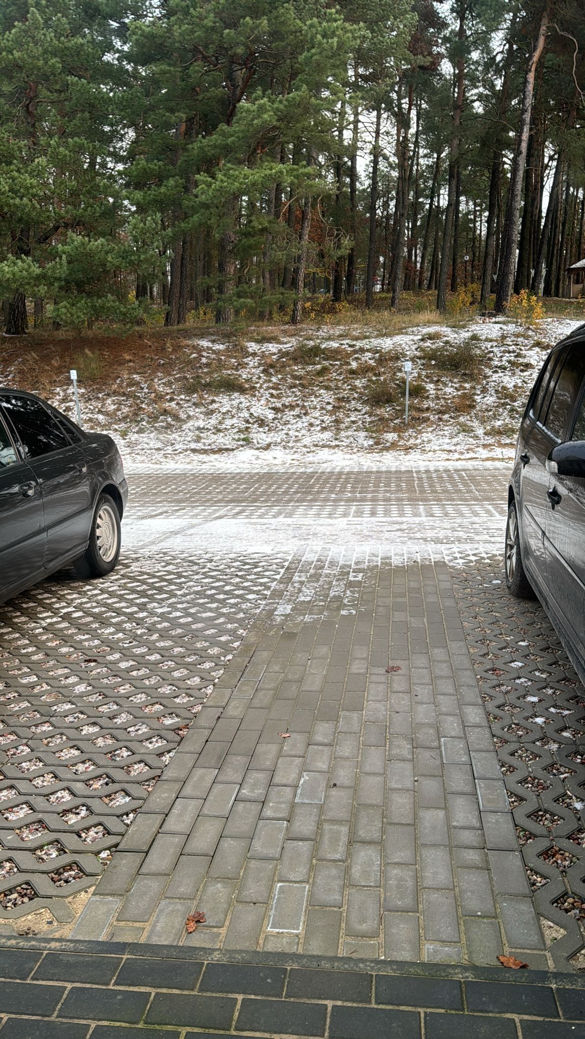 Ułożona kostka brukowa na podjeździe, częściowo pokryta śniegiem, z zaparkowanymi samochodami po bokach i lasem w tle. Widok z perspektywy pieszego.