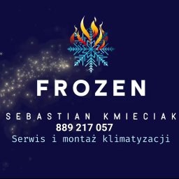 FROZEN Sebastian Kmieciak - Instalacje w Domu Środa Wielkopolska
