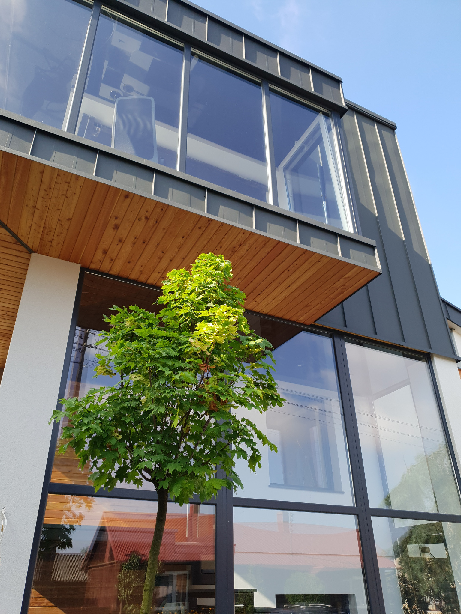 Nowoczesny dom z dużymi oknami i drewnianym podbitką, widziany z dołu, z drzewem na pierwszym planie. Charakterystyczne szare wykończenie dachu i elewacji.