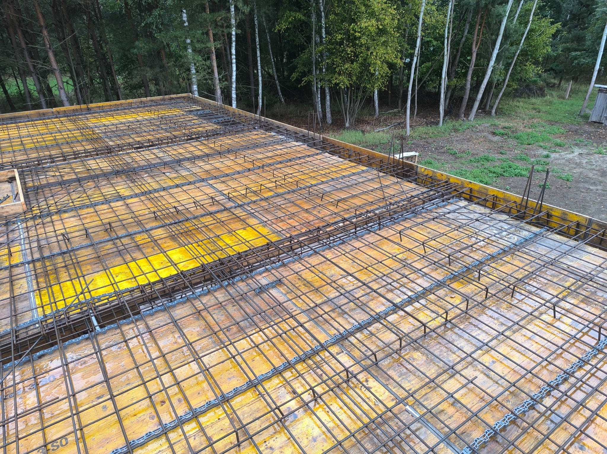 Zbrojenie stropu na żółtym szalunku, widok z góry. Siatka z prętów stalowych przygotowana do zalania betonem. W tle drzewa i fragment budynku.