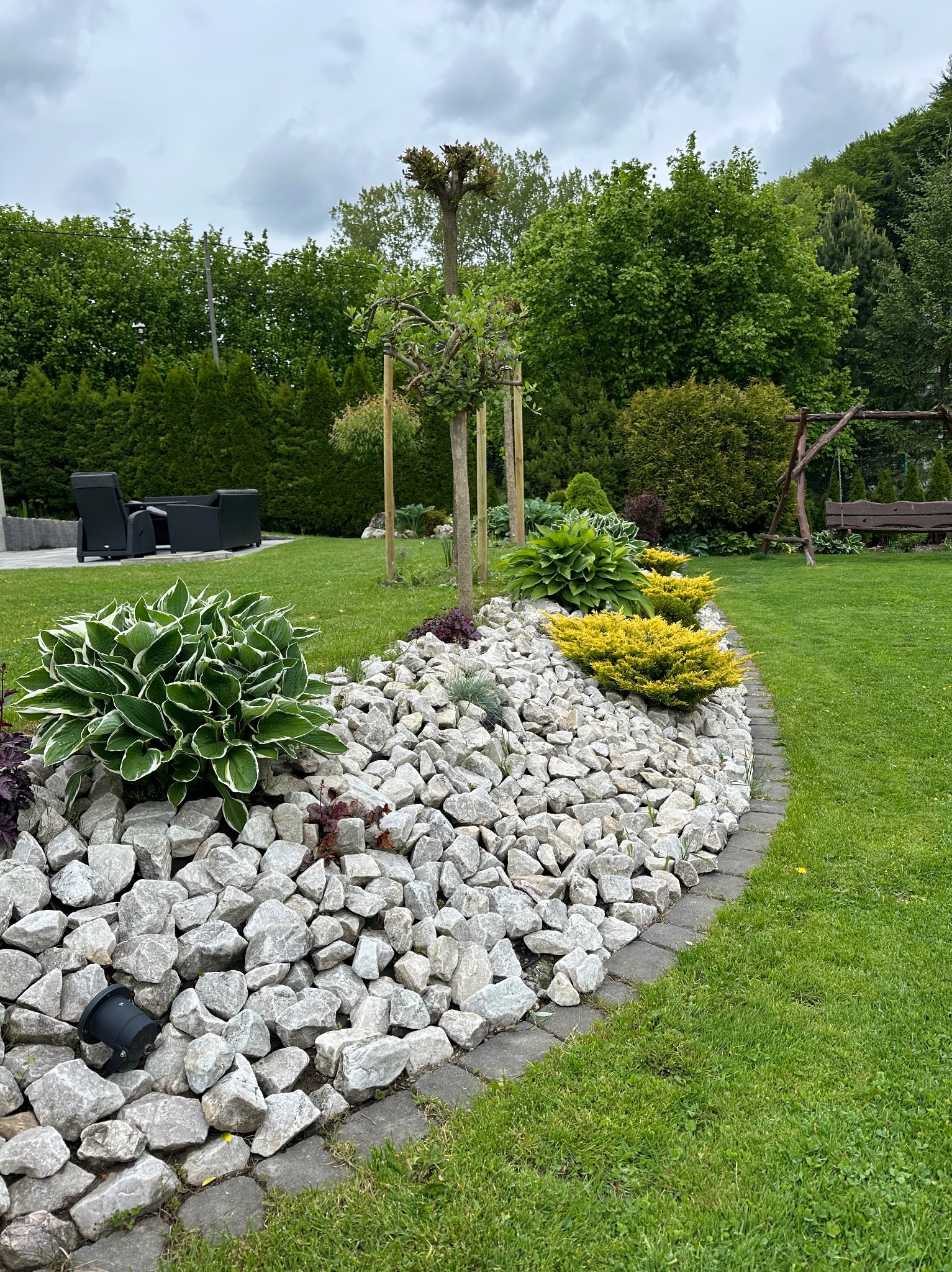 Ogród z rabatą wysypaną białymi kamieniami, na których rosną ozdobne rośliny. W tle trawnik, drzewa i meble ogrodowe.
