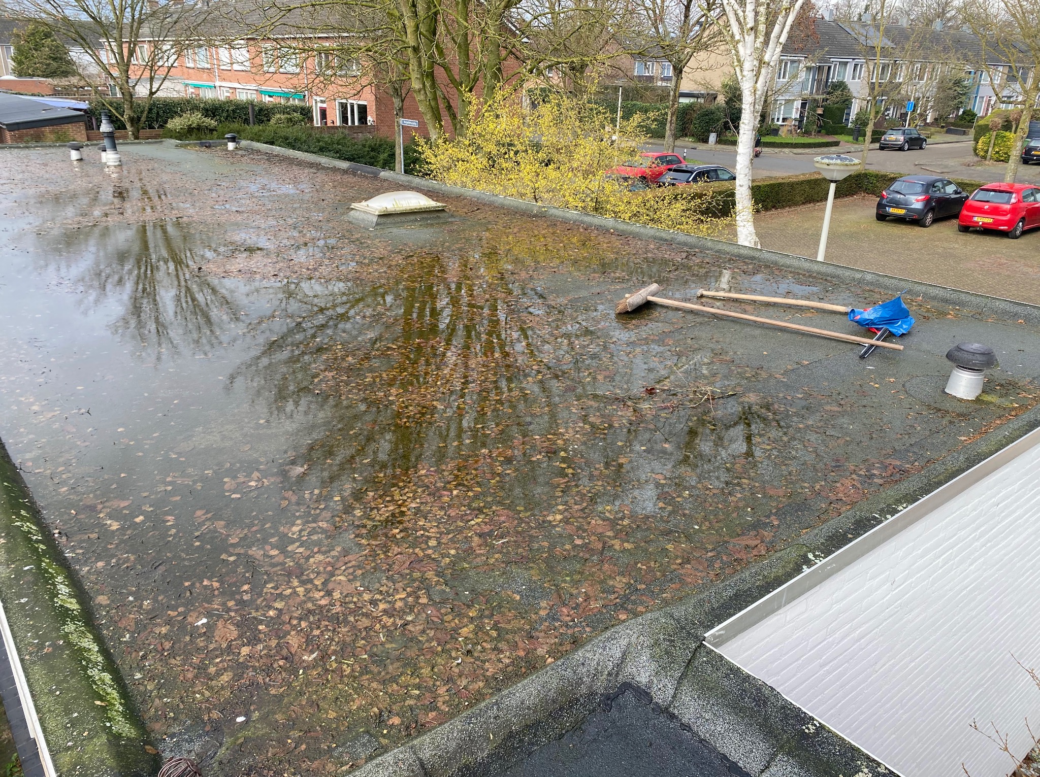 Zalegająca woda z liśćmi na płaskim dachu w Pabianicach. Widoczne narzędzia do czyszczenia i fragmenty budynków w tle. Dach wymaga interwencji dekarskiej.