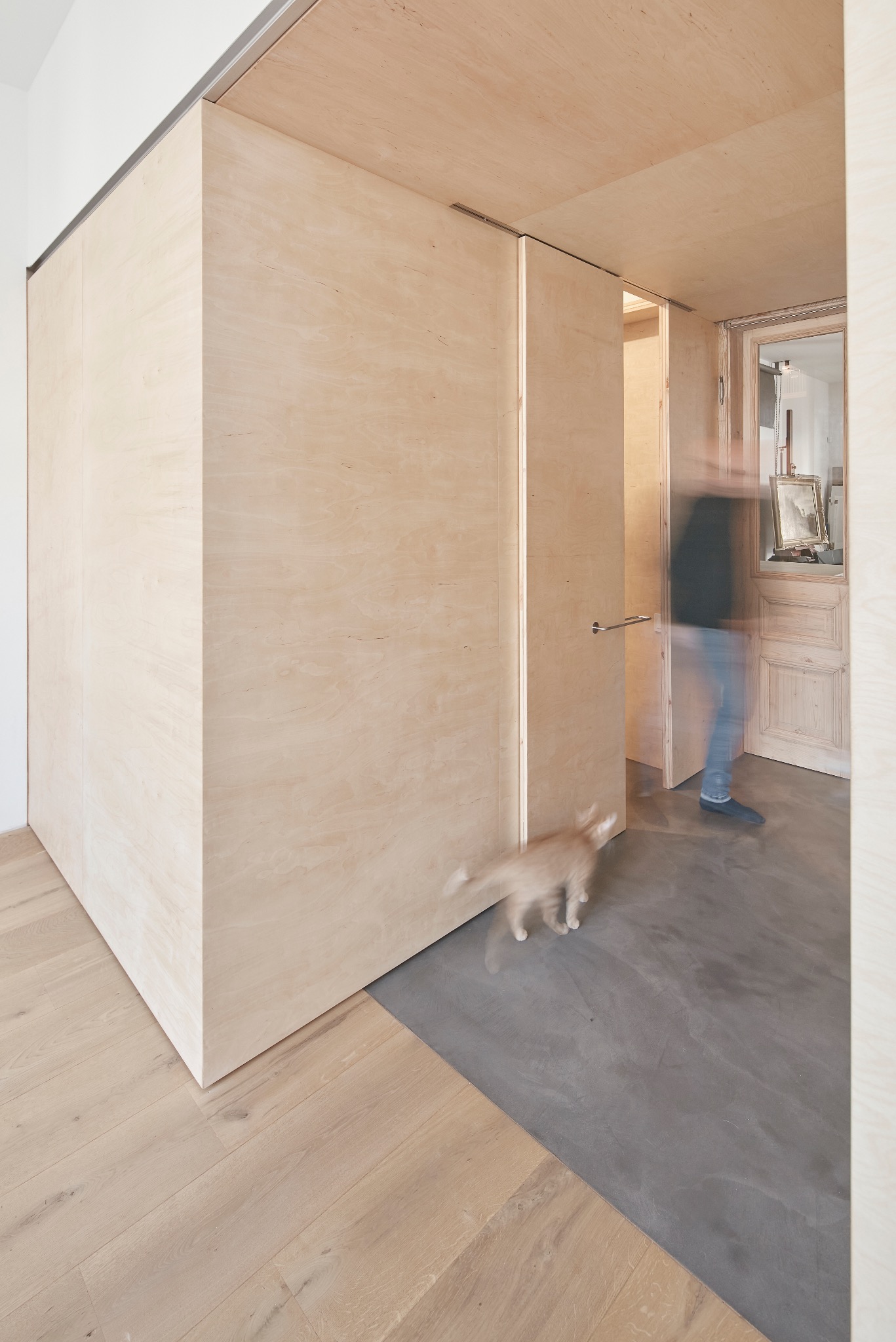 Nowoczesne wnętrze z zabudową z jasnej sklejki: przesuwna ściana, drzwi i drewniana podłoga. W tle rozmyta sylwetka osoby i kota.