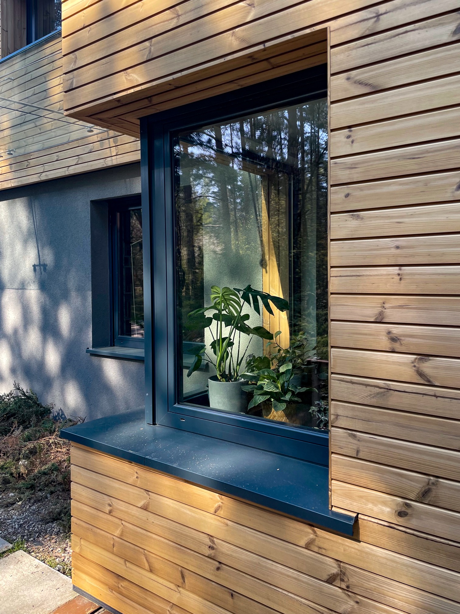 Elewacja domu z drewnianą okładziną, okno z roślinami. Widok na las w odbiciu szyby. Nowoczesny design, naturalne materiały, skandynawski styl.