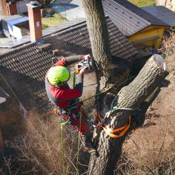 FACHOWIEC PODLASIE - Świetna Opieka Nad Ogrodami Białystok