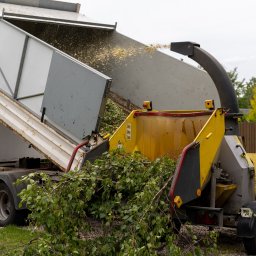 FACHOWIEC PODLASIE - Przemysłowa rębarka do gałęzi w trakcie pracy: gałęzie są wrzucane do maszyny, a z wyrzutni wylatują wióry do skrzyni samochodu ciężarowego.