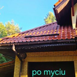 Wycinka drzew Białystok 4