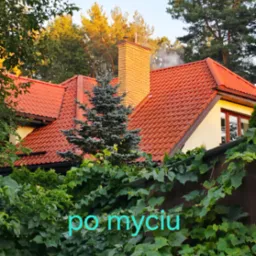 Czerwony dach domu po myciu, widoczny zza zieleni, z ceglanym kominem i dymem. Ujęcie z dołu, podkreślające czystość dachu po zabiegu.