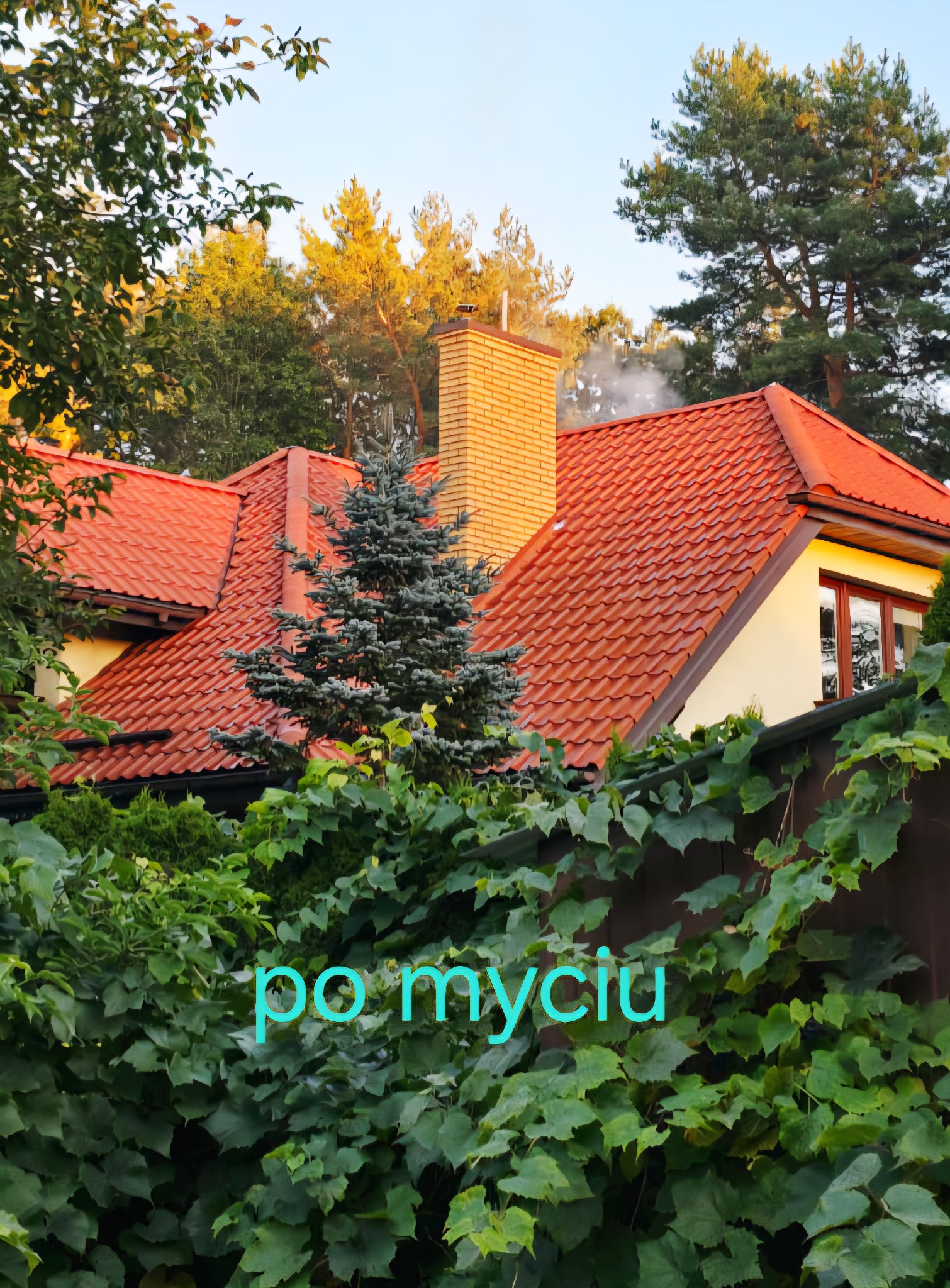 Czerwony dach domu po myciu, widoczny zza zieleni, z ceglanym kominem i dymem. Ujęcie z dołu, podkreślające czystość dachu po zabiegu.