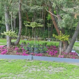 C-ICAS SPÓŁKA Z OGRANICZONĄ ODPOWIEDZIALNOŚCIĄ - Rabata kwiatowa z różowymi azaliami i tulipanami w betonowej obudowie, otoczona drzewami na trawniku. Widok na zalesiony teren w tle.