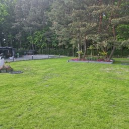 C-ICAS SPÓŁKA Z OGRANICZONĄ ODPOWIEDZIALNOŚCIĄ - Regeneracja trawnika