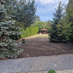 Odgrzybianie i czyszczenie tiu