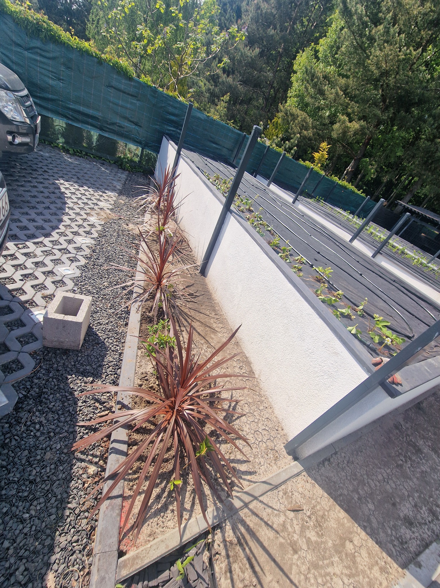 Zasadzenia i donice ogrodowe