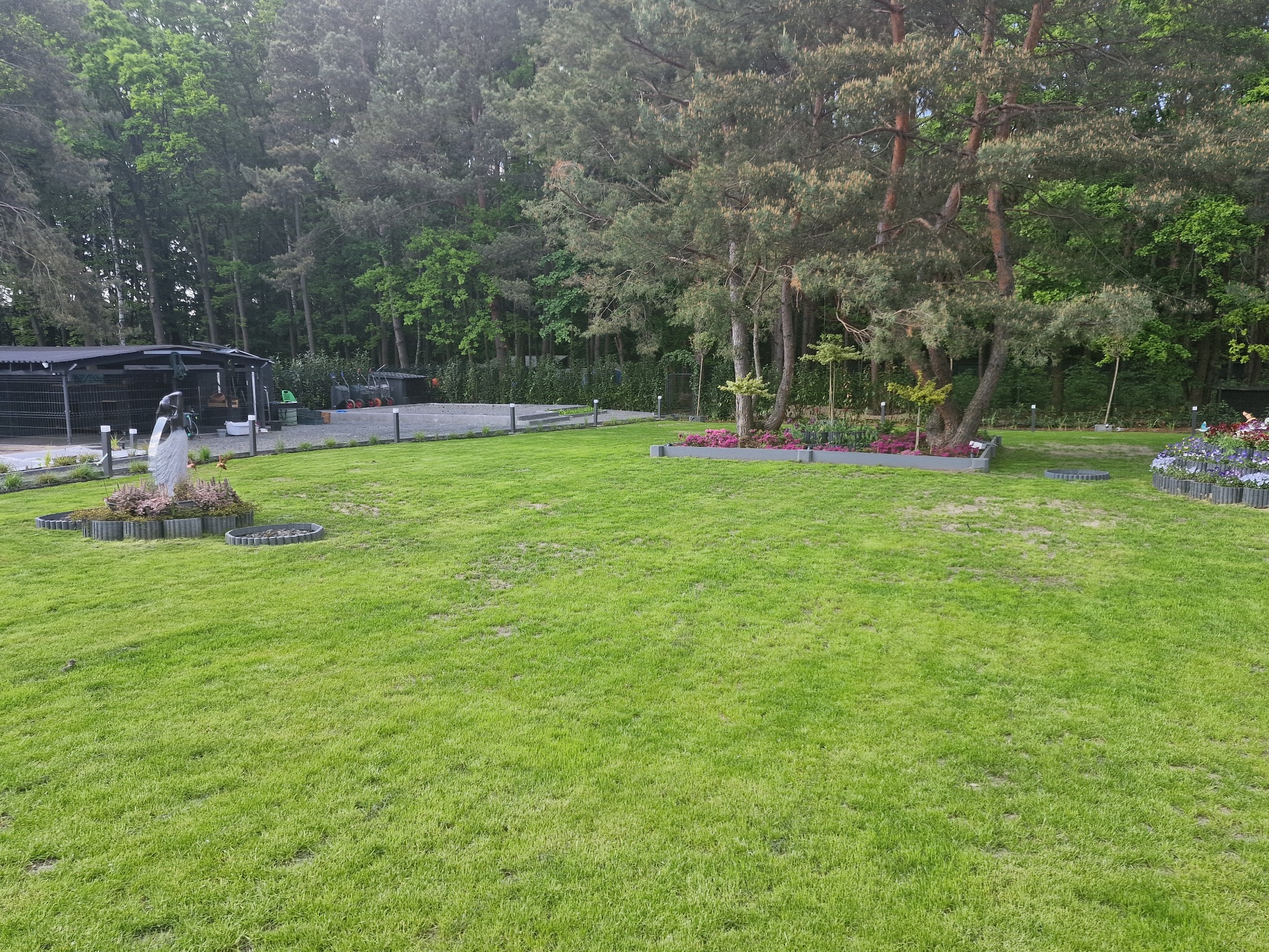 Regeneracja trawnika