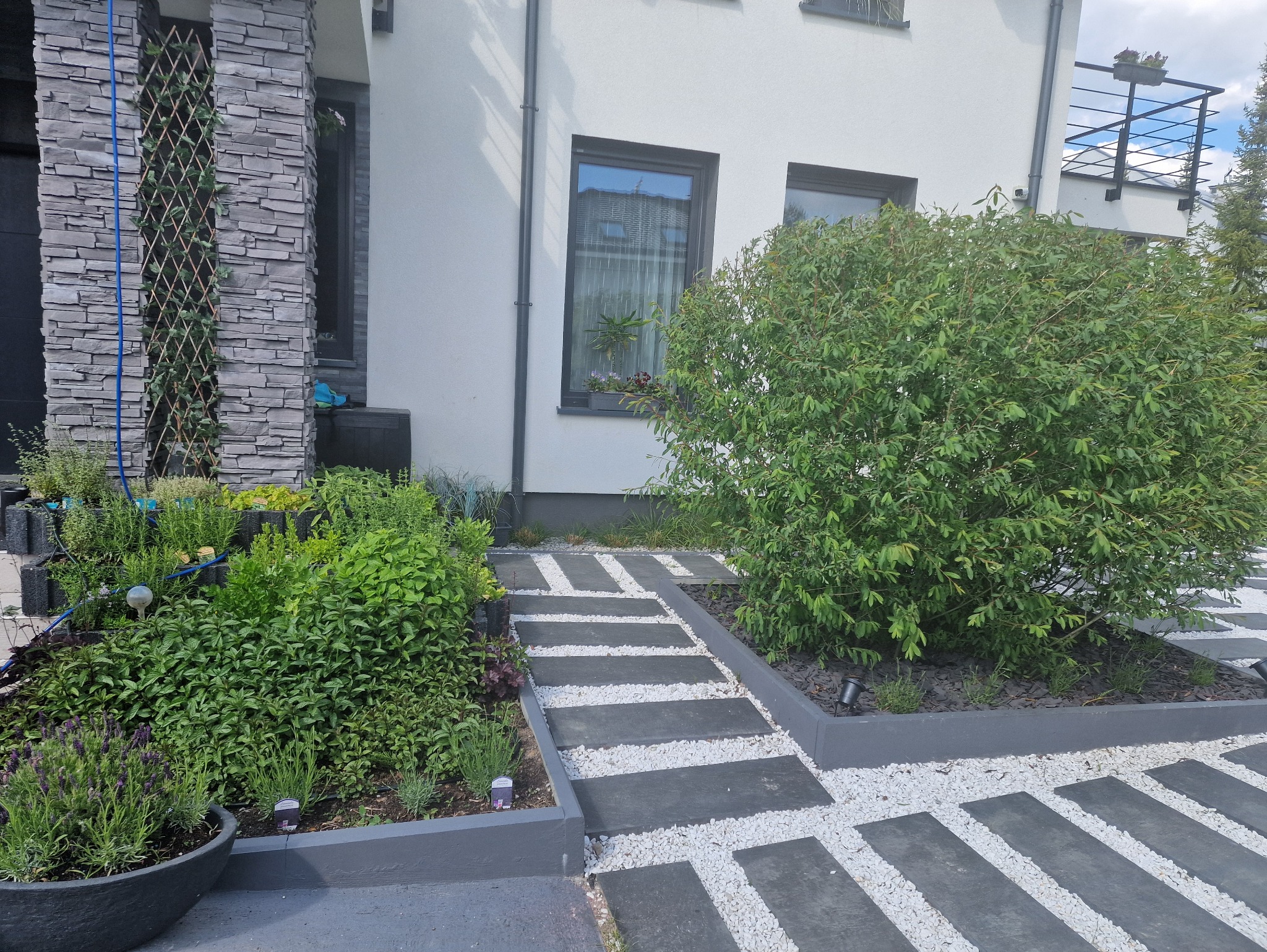 Zielnik przydomowy wraz z chodnikiem