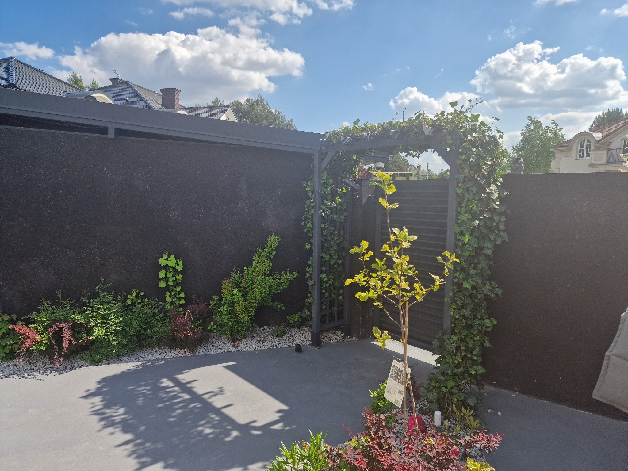 Nowoczesny ogród: czarny mur z zielenią, pergola z bluszczem i młode drzewko na tle błękitnego nieba z chmurami. Minimalistyczny design z elementami natury.