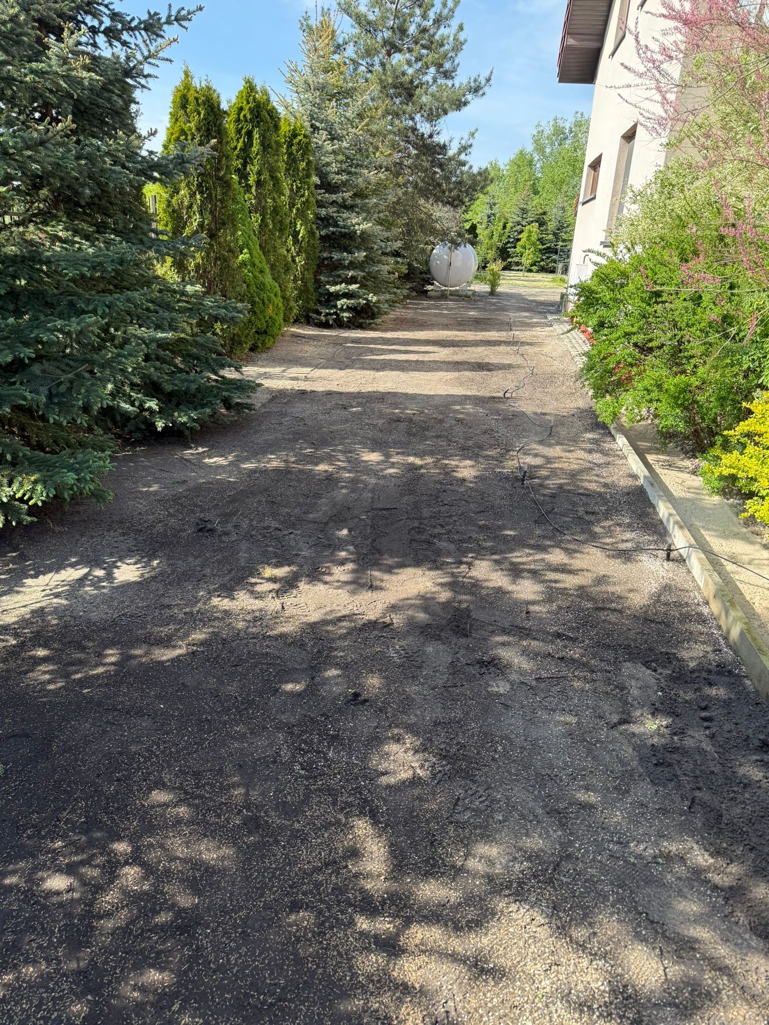 Regeneracja starego trawnika