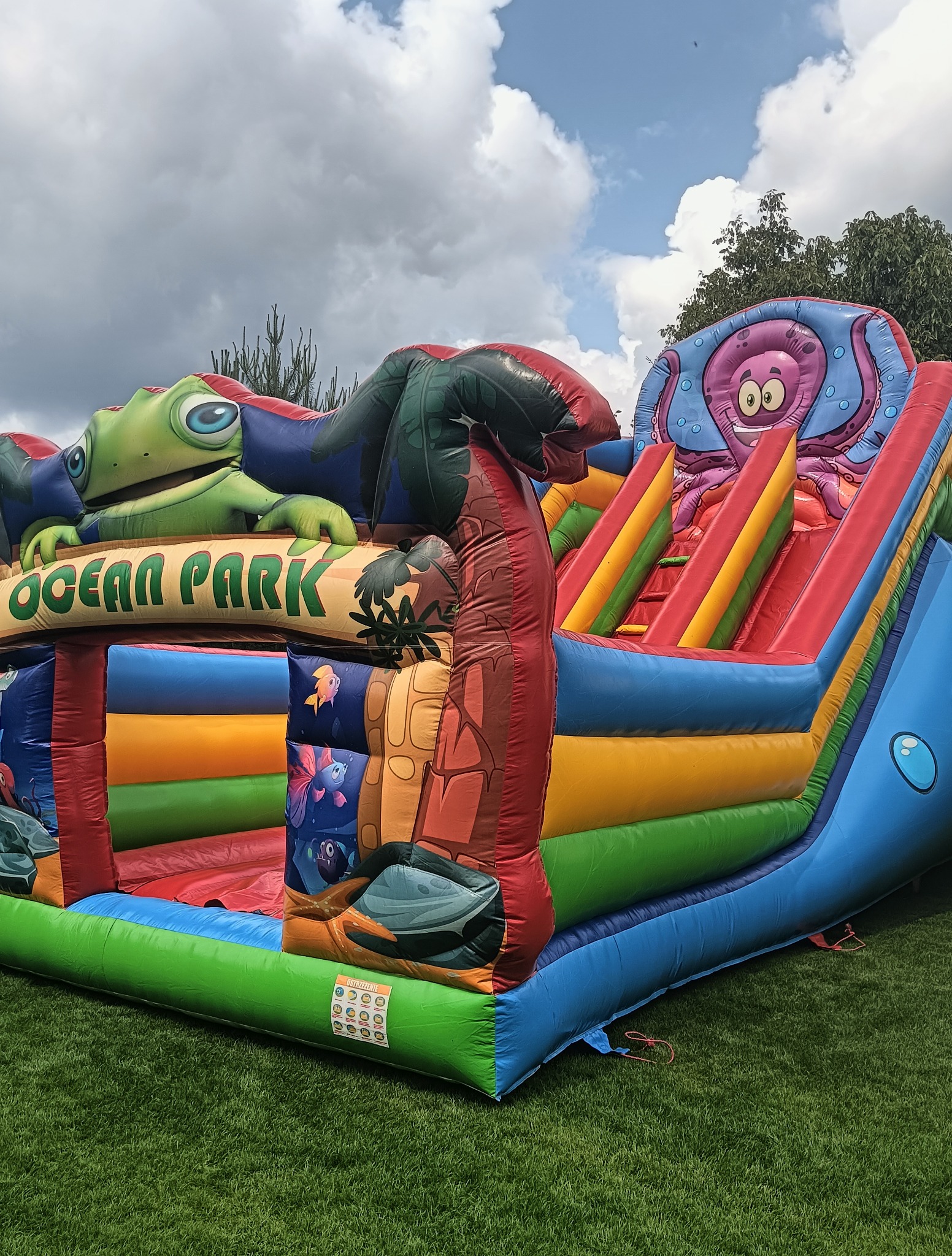 Kolorowy dmuchany zamek z motywem oceanu: zielony żaba, ośmiornica i zjeżdżalnia. Atrakcja na trawie pod pochmurnym niebem. Ocean Park.