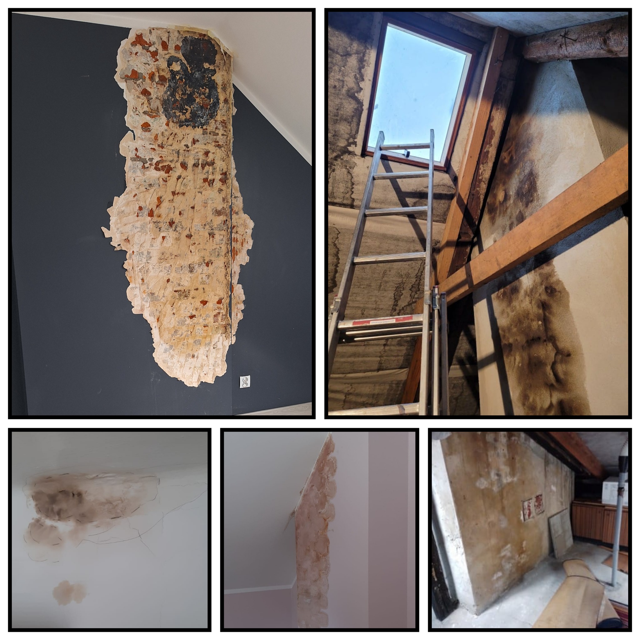 Zacieki i uszkodzenia ścian w różnych pomieszczeniach. Widoczne ślady wilgoci i odpadający tynk, wskazujące na potrzebę remontu. Czarków.