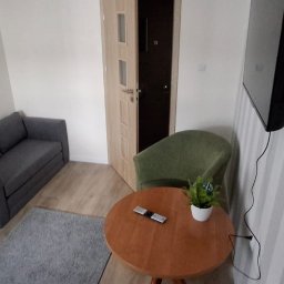 USŁUGI Katarzyna Wasiłowska - Jasne wnętrze pokoju z drewnianą podłogą, szarą sofą i dywanem. Na okrągłym stole stoi roślina doniczkowa, a obok zielony fotel. Widoczny fragment telewizora na ścianie.