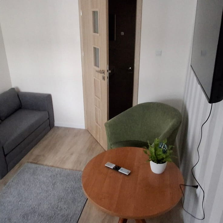 Jasne wnętrze pokoju z drewnianą podłogą, szarą sofą i dywanem. Na okrągłym stole stoi roślina doniczkowa, a obok zielony fotel. Widoczny fragment telewizora na ścianie.