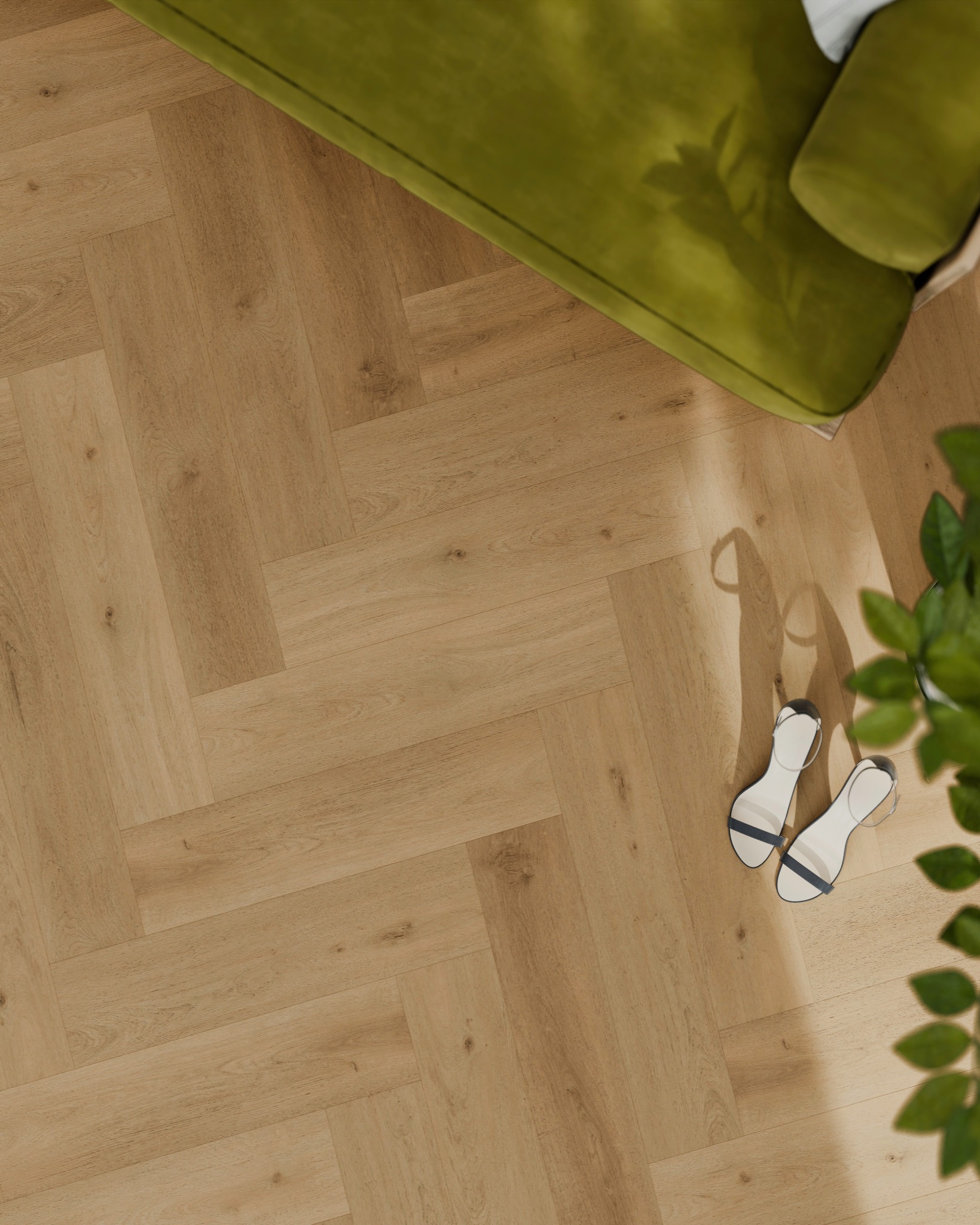 Dąb Pasieczny - jodełka