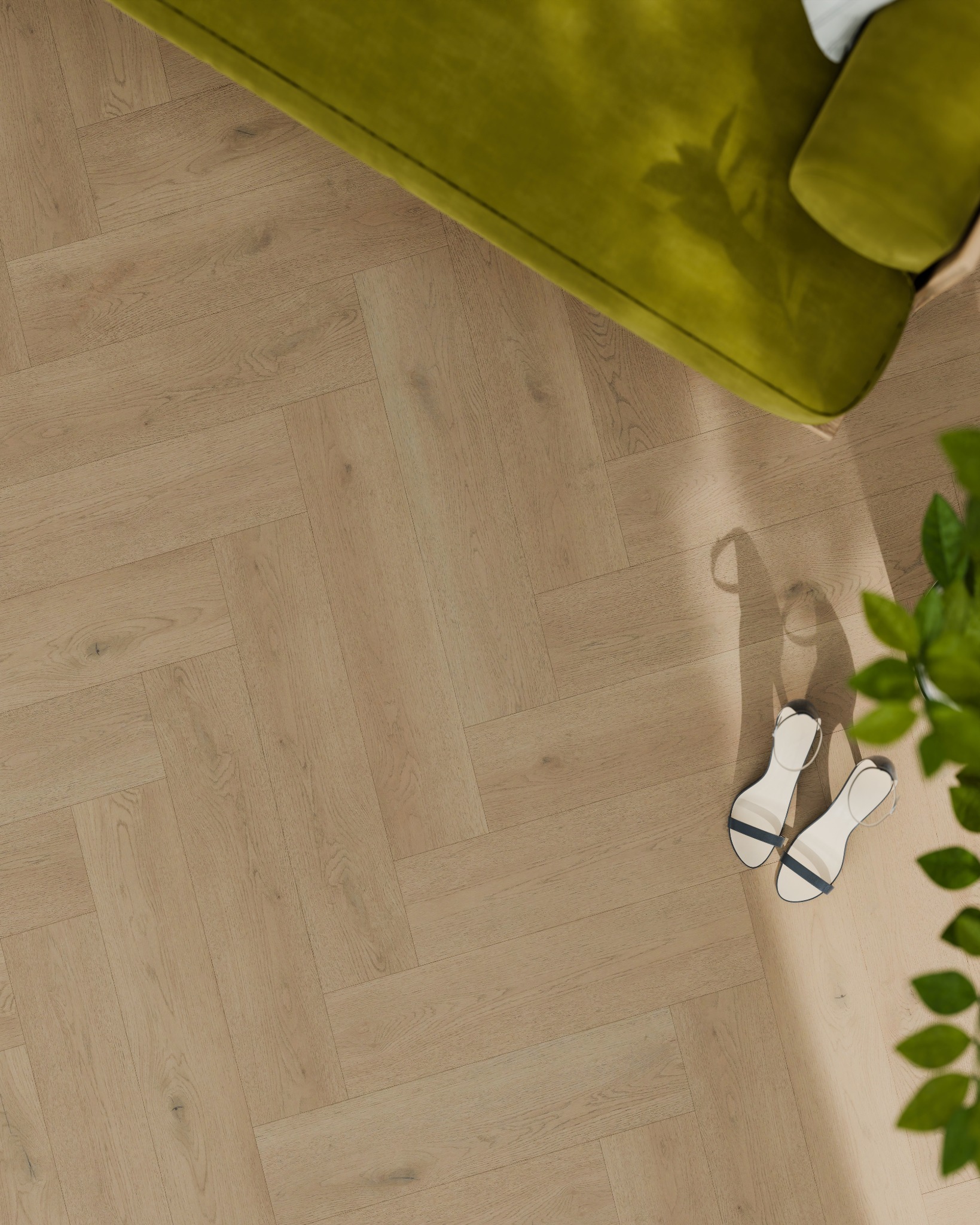 Naturalny Dąb Bielony - jodełka