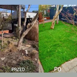 Trawa z rolki Radzymin 1