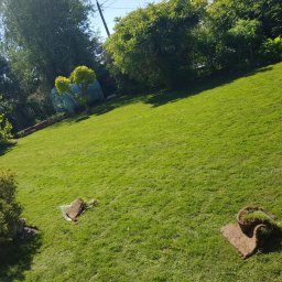 Trawa z rolki Radzymin 2