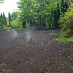 Trawa z rolki Radzymin 3