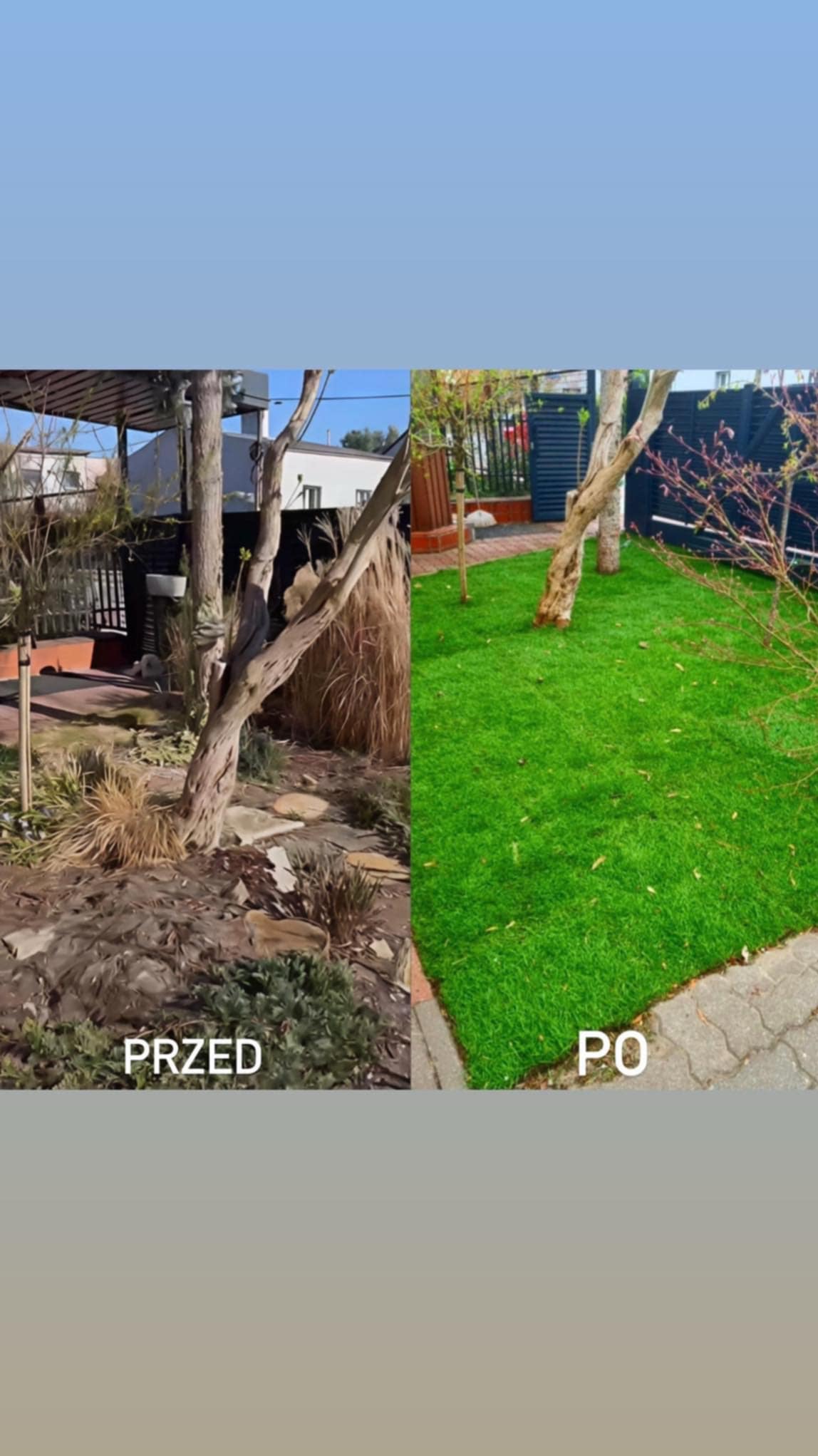 Porównanie 'Przed' i 'Po' założeniu trawnika: zarośnięty teren kontra równa, zielona trawa. Widoczne drzewa i ogrodzenie.