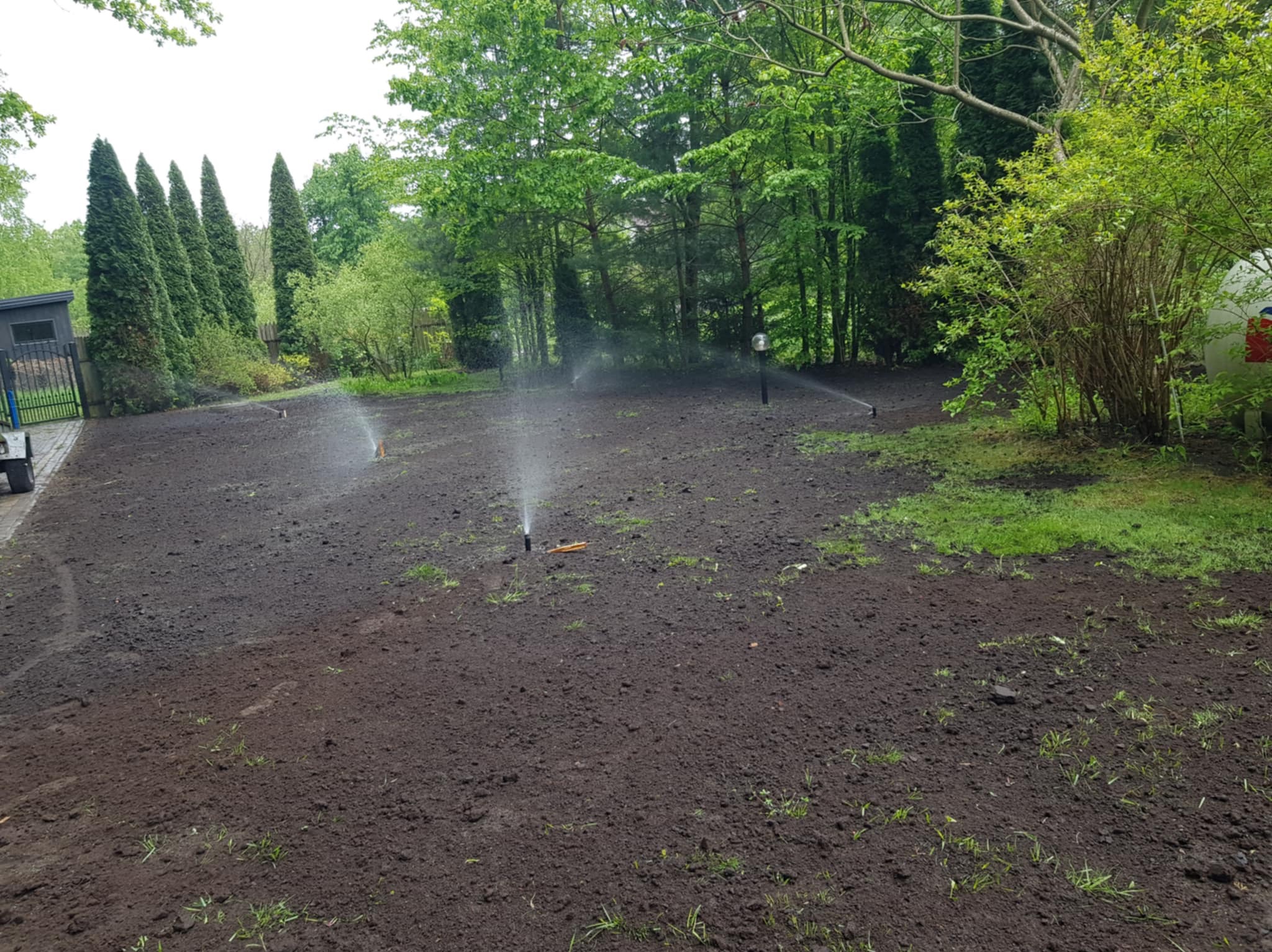 Nawadnianie gruntu pod trawnik zraszaczami. W tle tuje, drzewa liściaste i budynek gospodarczy. Przygotowanie terenu pod zasiew trawy. Ziemia z niewielkimi kępkami trawy.