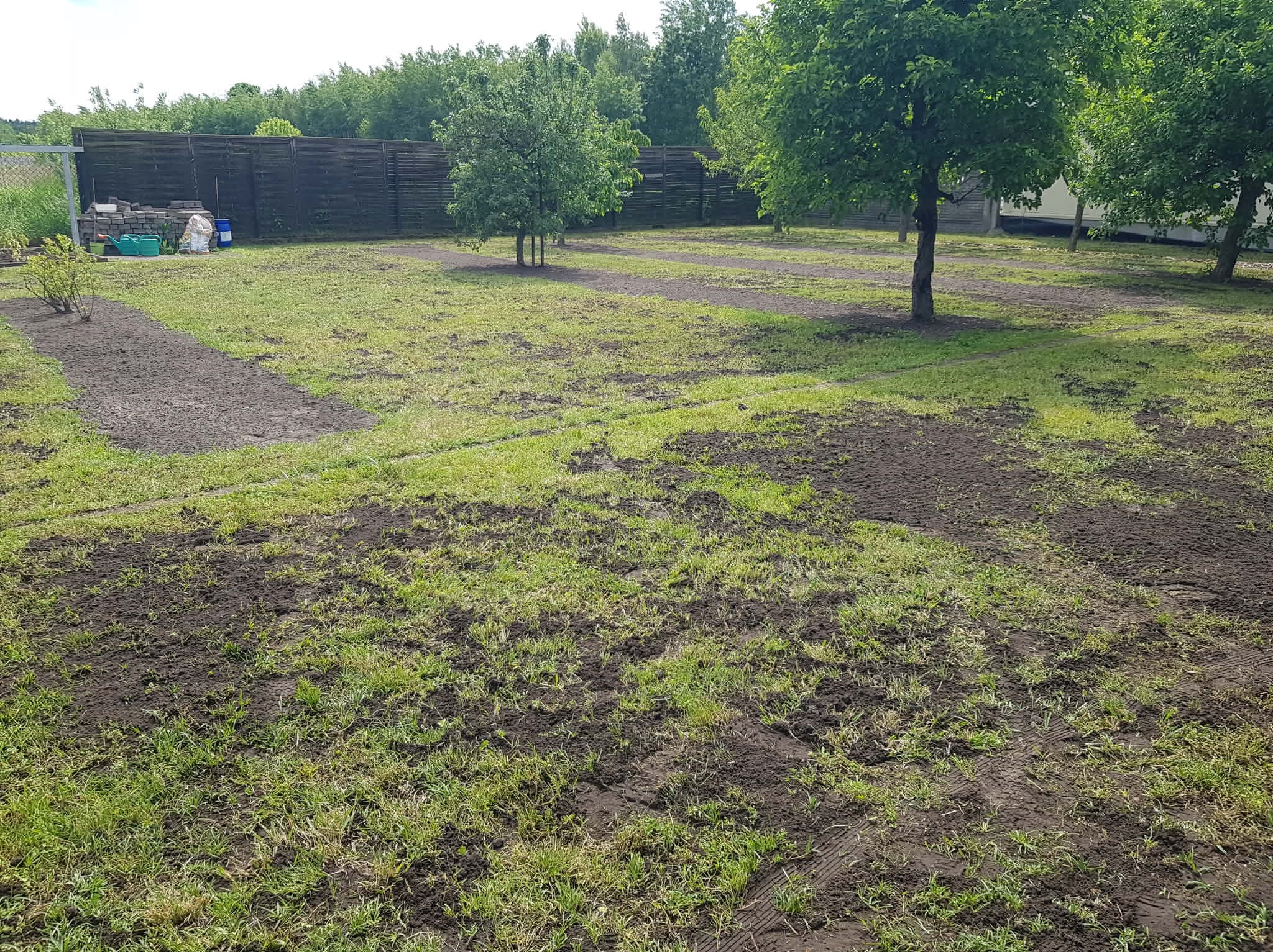 Przygotowany teren pod trawnik w Radzyminie. Widoczne ślady po glebogryzarce, drzewa i ogrodzenie w tle. Częściowo odsłonięta ziemia, gotowa pod zasiew lub rozłożenie trawy.