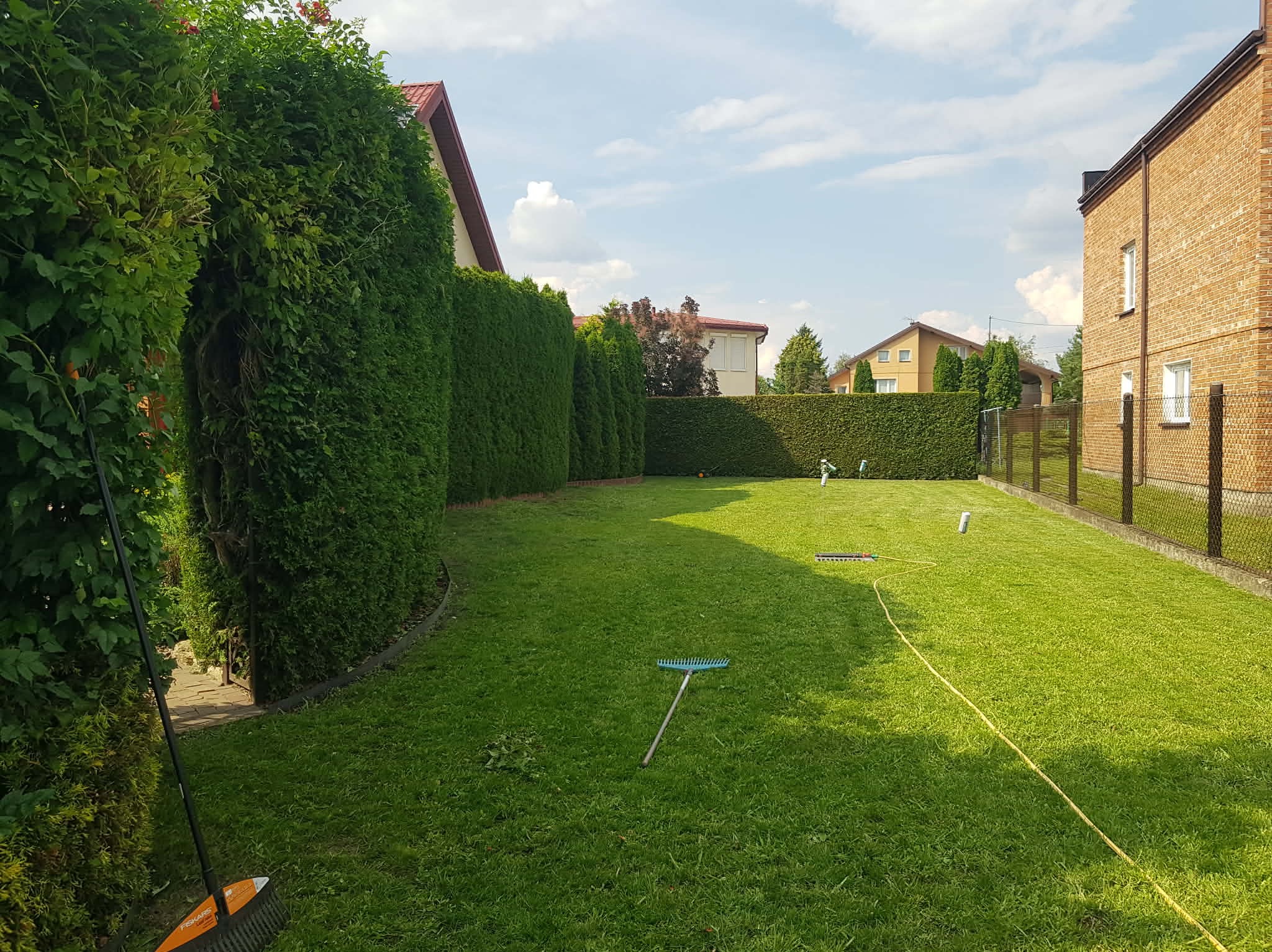 Zadbany trawnik po koszeniu, z równo przyciętym żywopłotem w tle. Widoczne narzędzia ogrodnicze: grabie i miotła. Świeżo skoszona trawa, schludny wygląd.