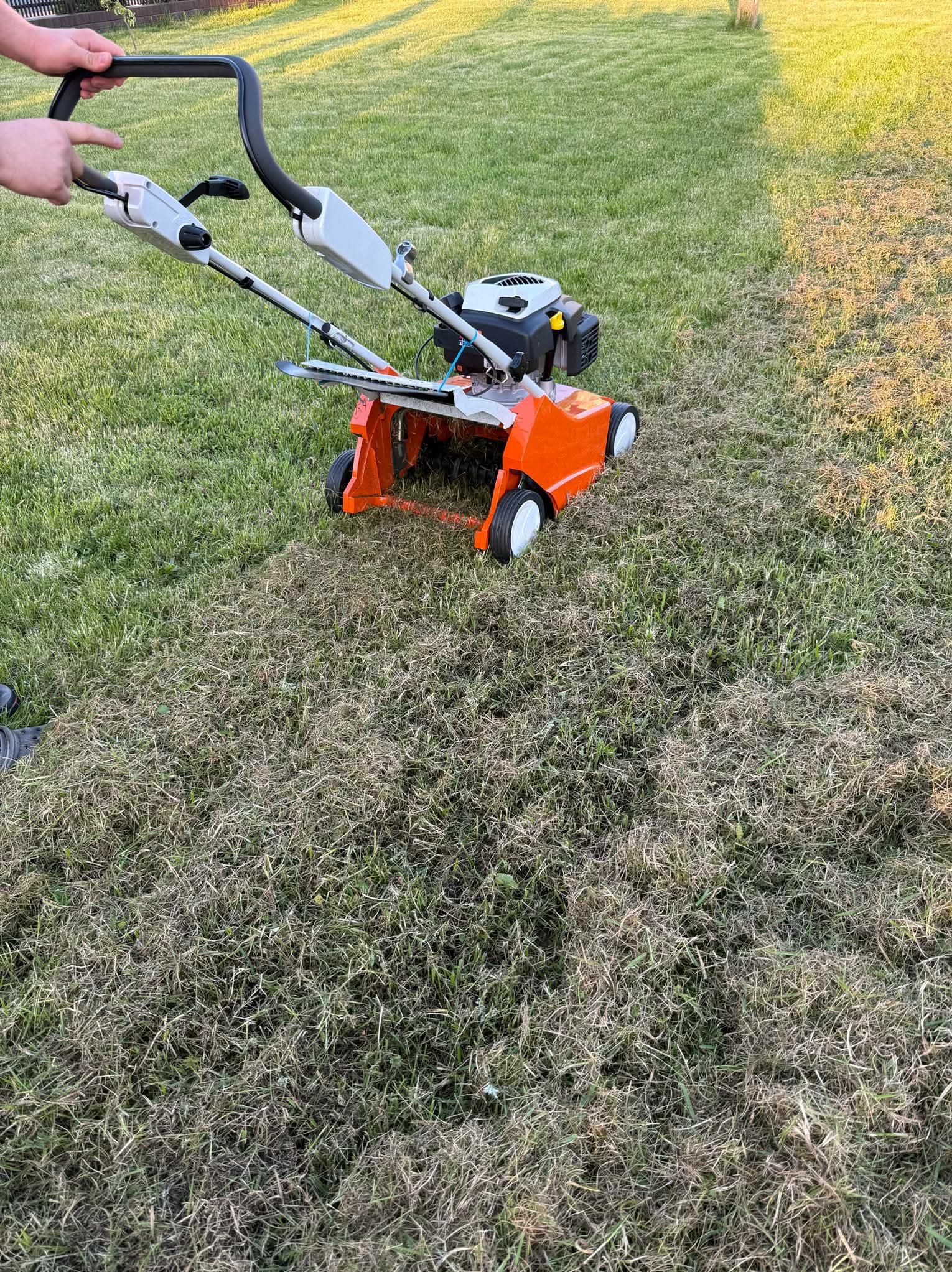Wertykulacja trawnika: pomarańczowy wertykulator w trakcie pracy, widoczna warstwa filcu na trawie, częściowo skoszona powierzchnia. Ręce operatora na uchwycie.