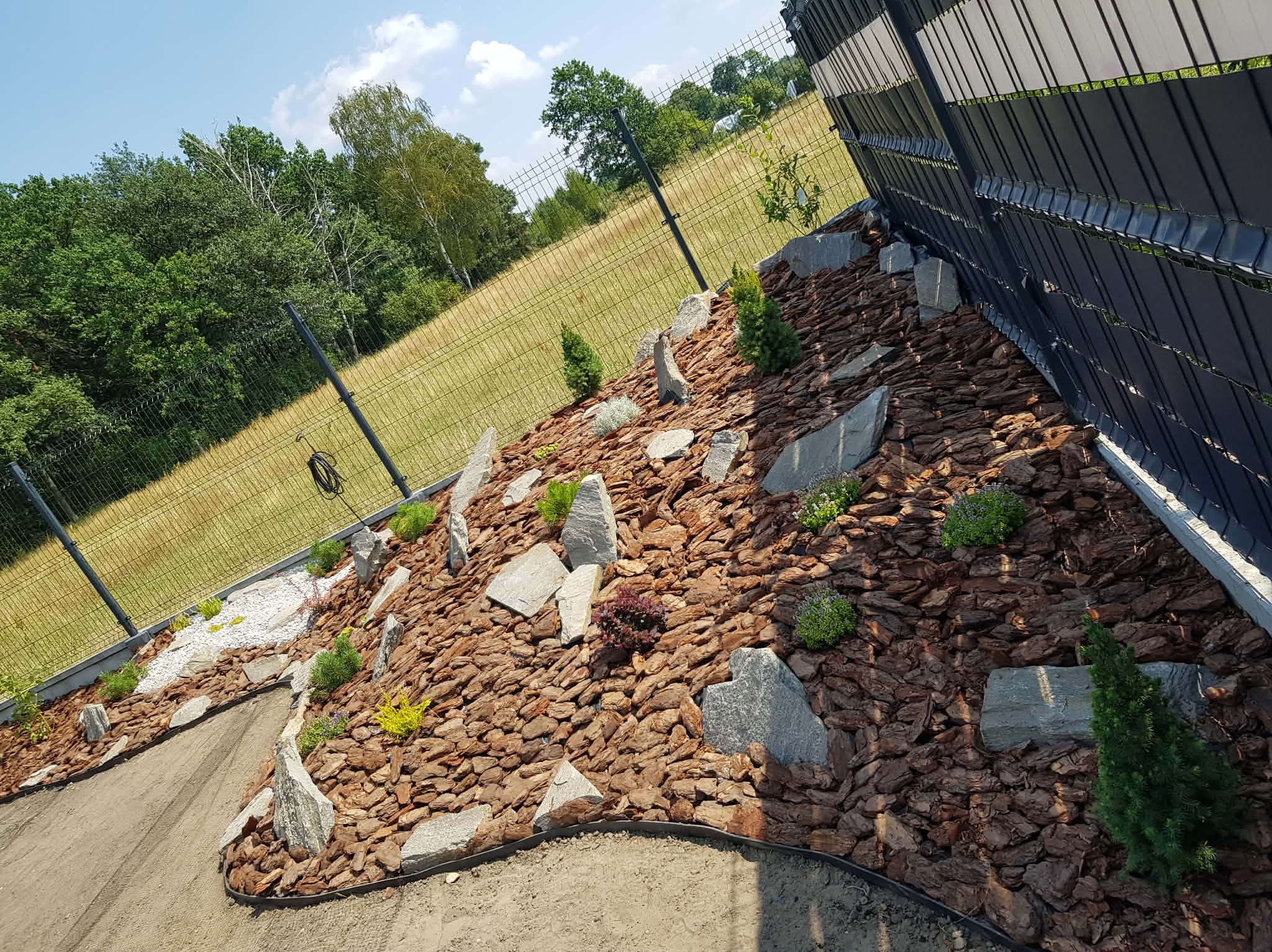 Aranżacja ogrodu z korą, kamieniami i niskimi roślinami iglastymi, widok z boku, ogrodzenie panelowe w tle, słoneczny dzień.