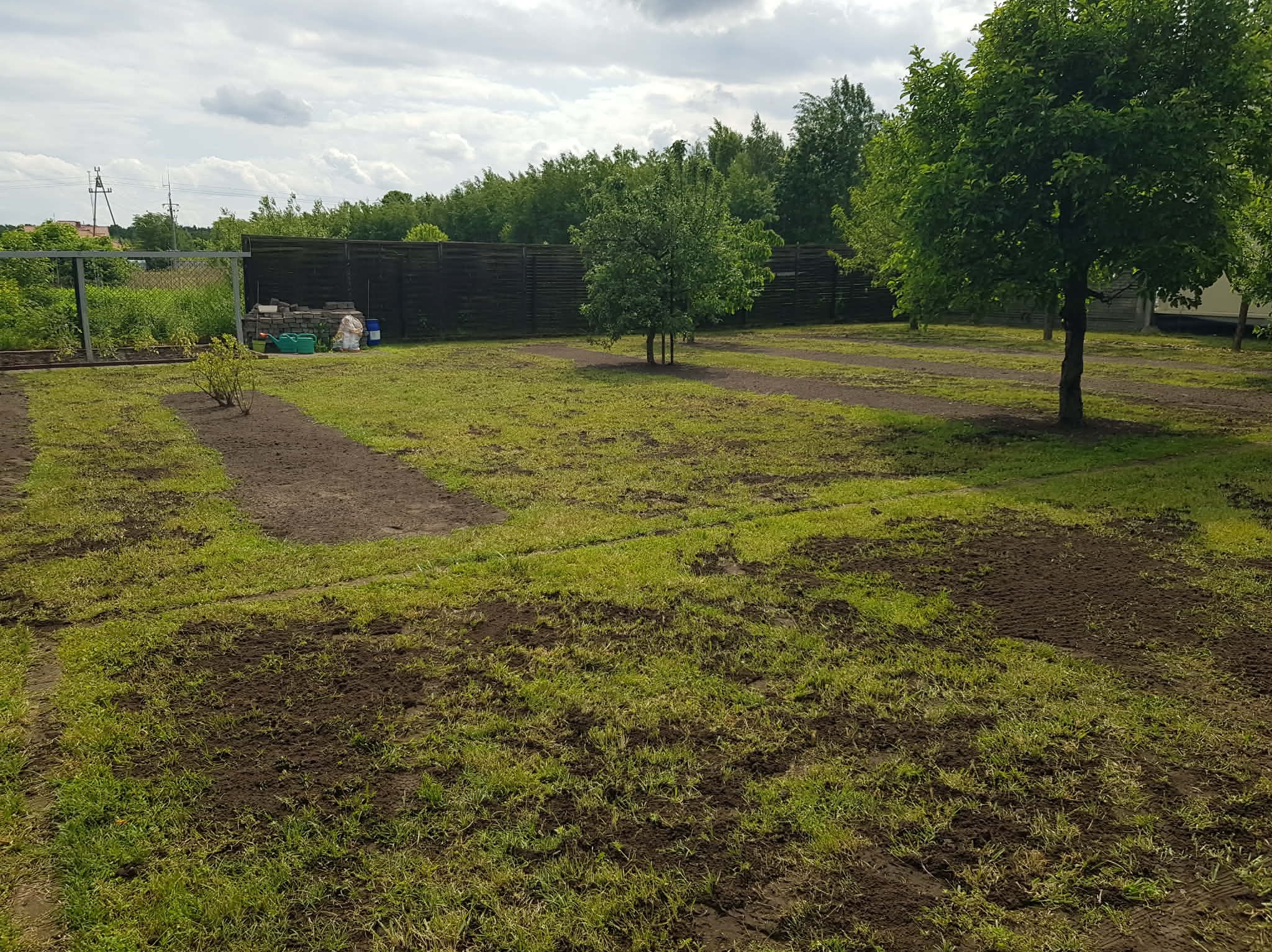 Przygotowany teren pod trawnik: wyrównana ziemia z widocznymi śladami po pracach ziemnych, drzewa i krzewy w tle, ogrodzenie z siatki i drewniany płot.