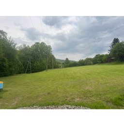 Agma Trade sp zoo - Rozległy trawnik z widocznymi śladami koszenia, otoczony drzewami i zaroślami. Na skraju łąki widoczny ul. Pochmurne niebo w tle.