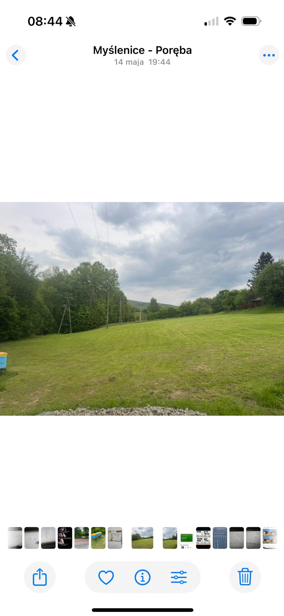 Rozległy trawnik z widocznymi śladami koszenia, otoczony drzewami i zaroślami. Na skraju łąki widoczny ul. Pochmurne niebo w tle.