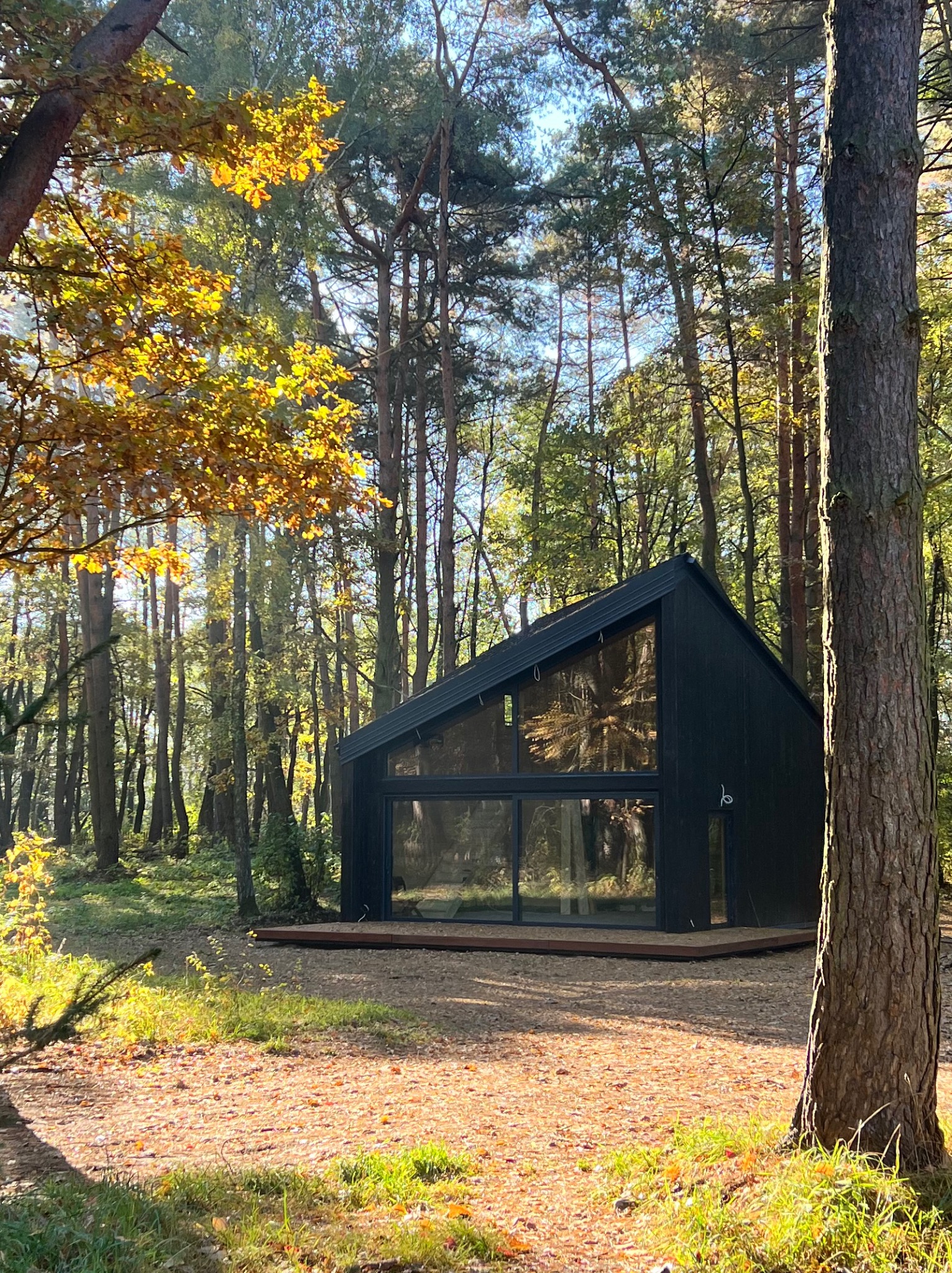 Czarny, nowoczesny dom modułowy z dużymi oknami, otoczony jesiennym lasem. Minimalistyczna architektura w naturalnym otoczeniu, ciepłe światło słoneczne.