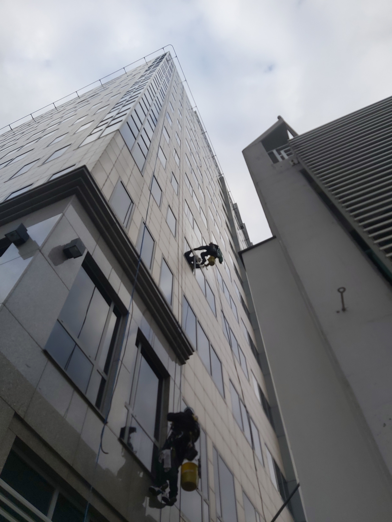 Pracownicy wysokościowi na linach czyszczą okna biurowca z szarej elewacji. Widok z dołu na budynek i pochmurne niebo.