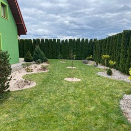 TerraFlo - Zadbany ogród z równo przystrzyżonym trawnikiem, niskimi drzewkami i ozdobnymi krzewami, otoczony wysokim żywopłotem z tui. Widoczny fragment zielonego domu.