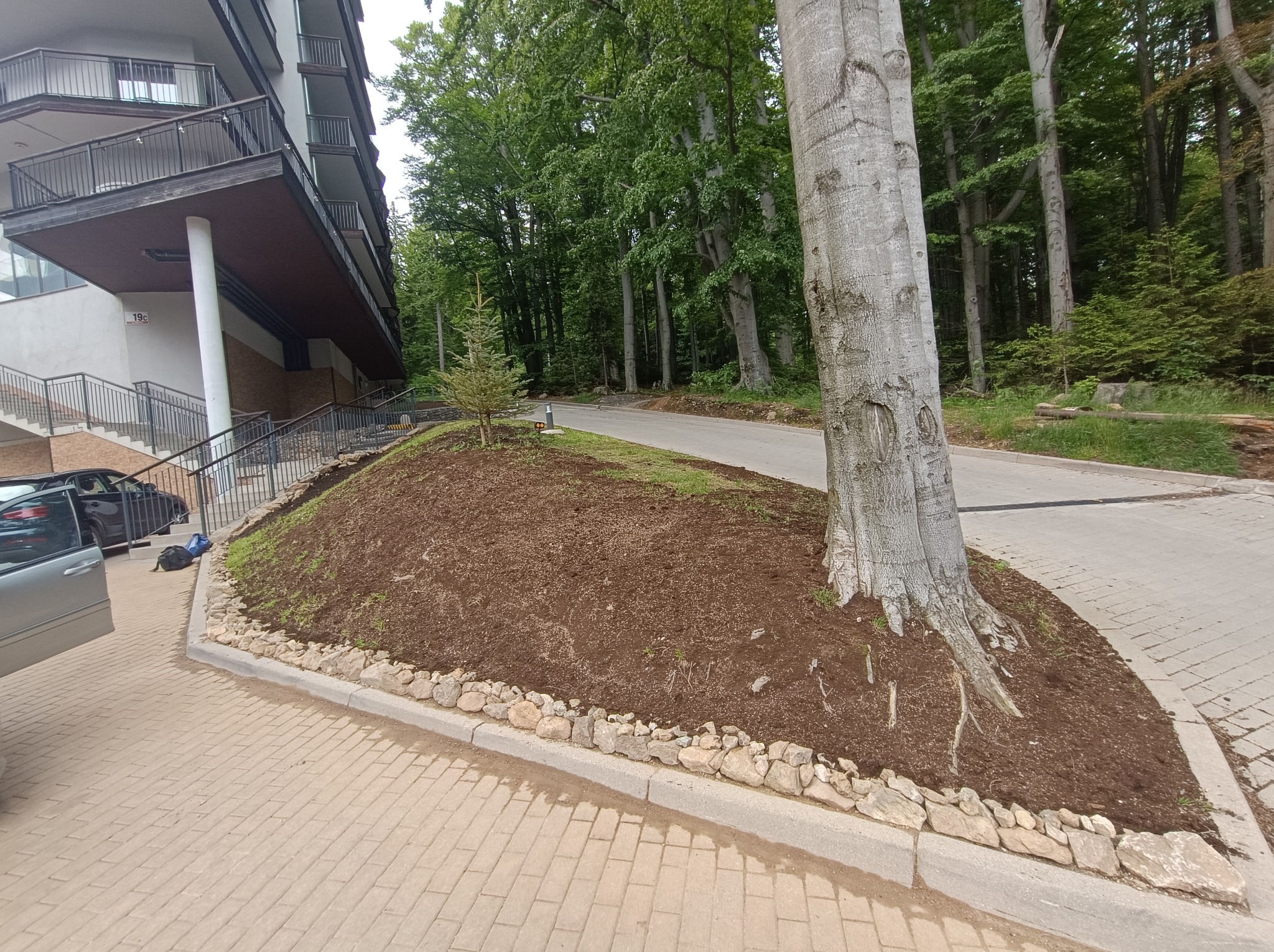 Obsypana korą rabata z młodym drzewkiem przy budynku, obrzeże z kamieni. Widoczny fragment chodnika z kostki brukowej i drzewa w tle. Górka z korą przy parkingu.