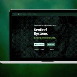 Anglojęzyczny projekt dla systemów bezpieczeństwa.