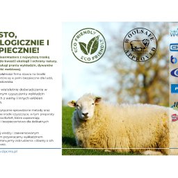 Pranie dywanów Białystok 4